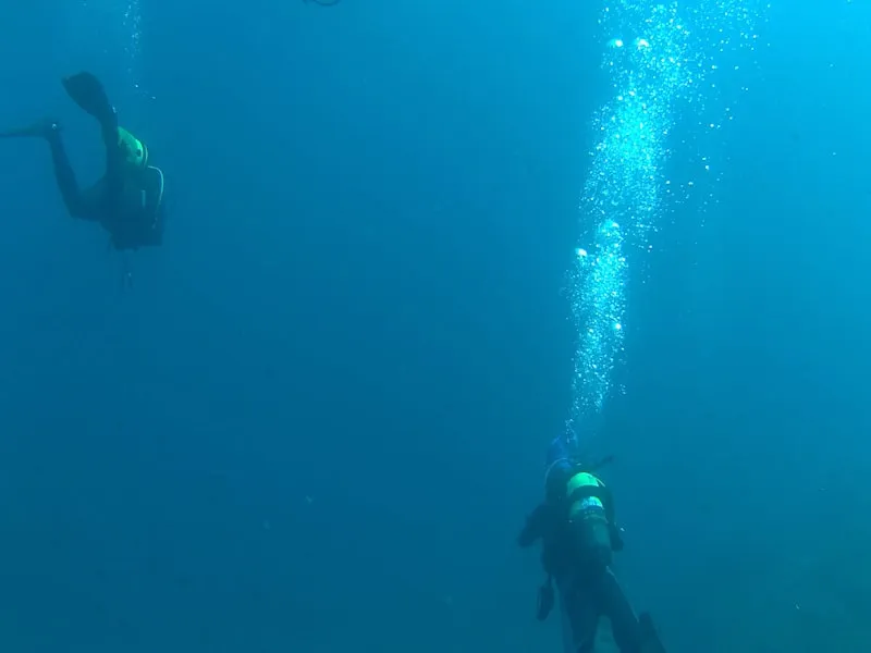 Divers Underwater